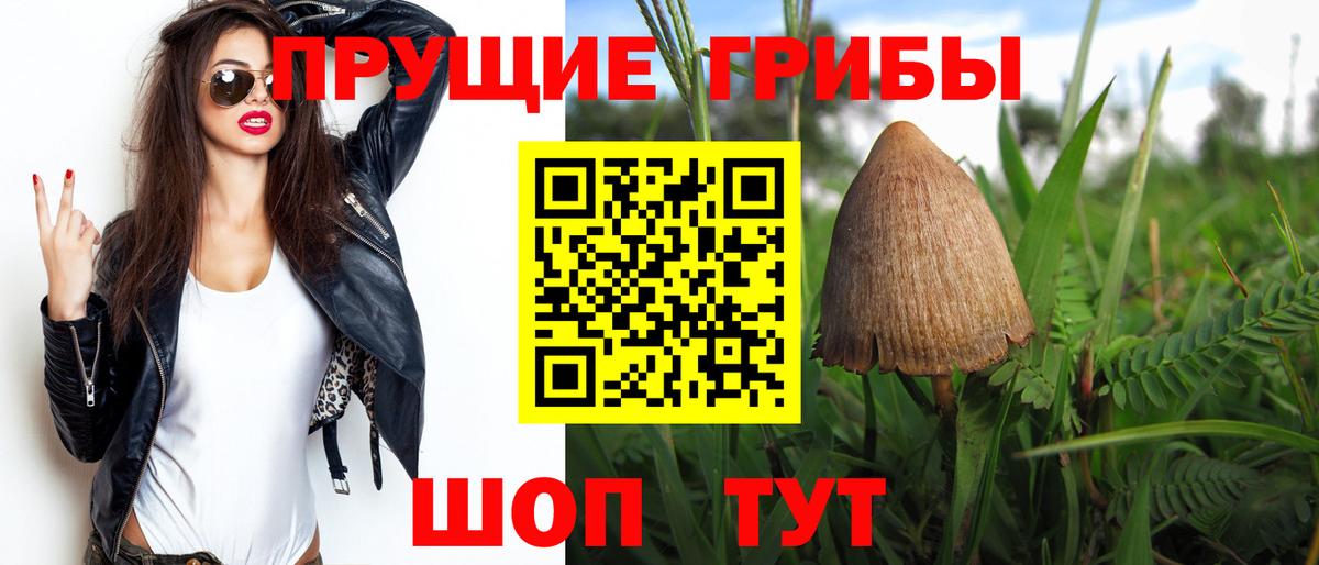 купить закладку  Псилоцибиновые грибы Magic Shrooms  Вход с VPN  Псилоцибиновые грибы Psilocybe  Вятские Поляны 