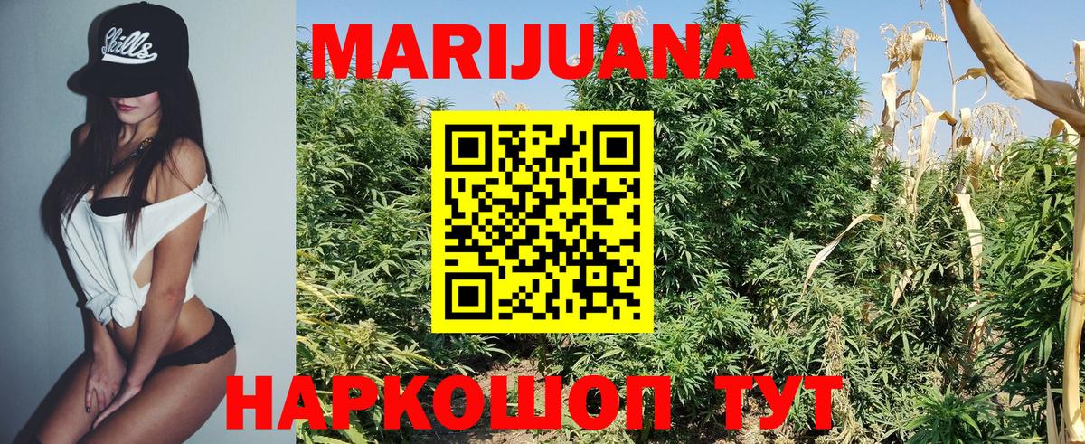 Канабис SATIVA & INDICA Вятские Поляны